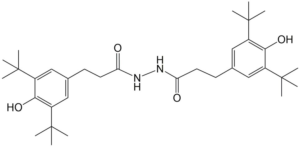 SONGNOX® 1024